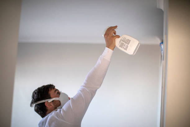 Best Black Mold Removal  in Rio Hondo, TX