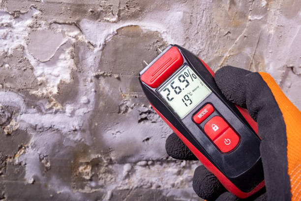 Best Residential Mold Removal  in Rio Hondo, TX