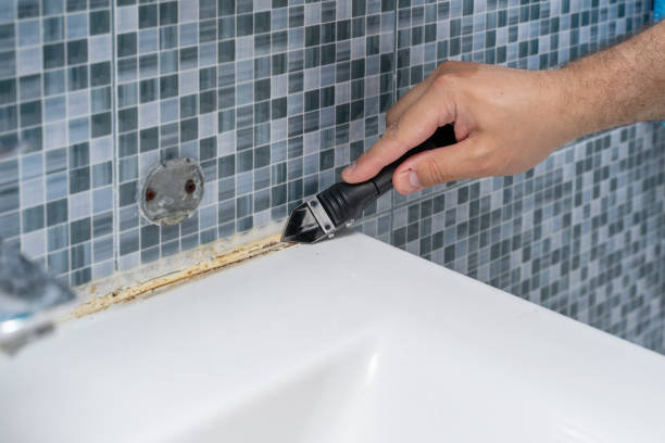 Certified Mold Removal in Rio Hondo, TX