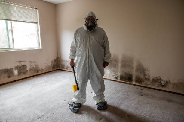 Crawl Space Mold Removal in Rio Hondo, TX